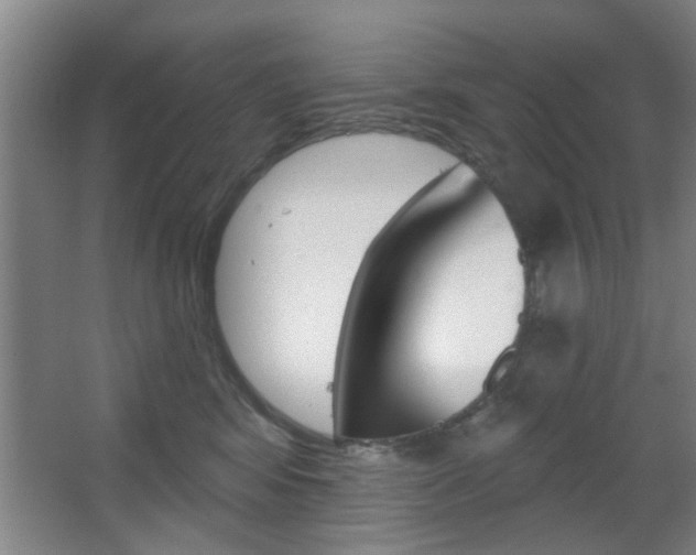 X0000067370424200603310959