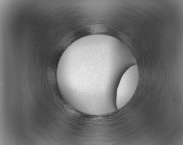 X0000067370426200603310959