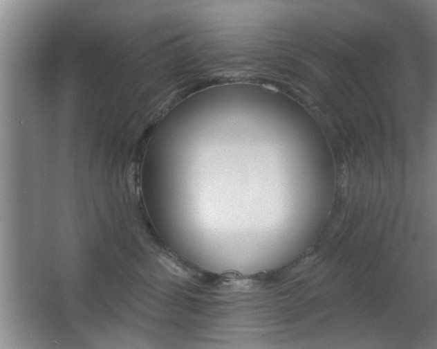 X0000067370428200603310959