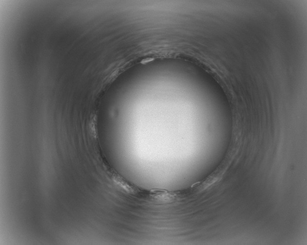 X0000067370432200603310959