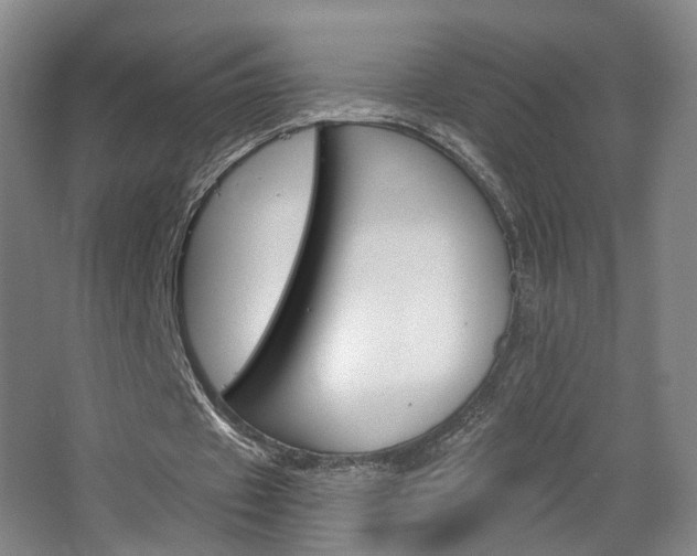 X0000067370433200603310958