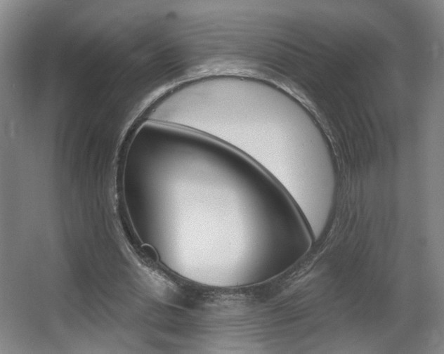 X0000067370438200603310958