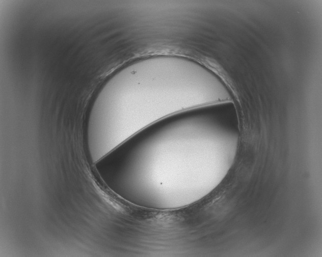 X0000067370441200603310958