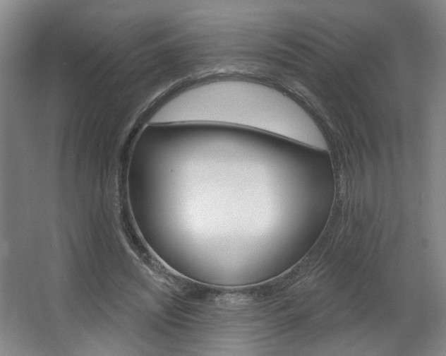 X0000067370444200603310958