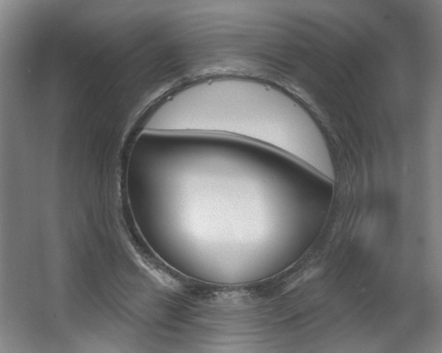 X0000067370446200603310959
