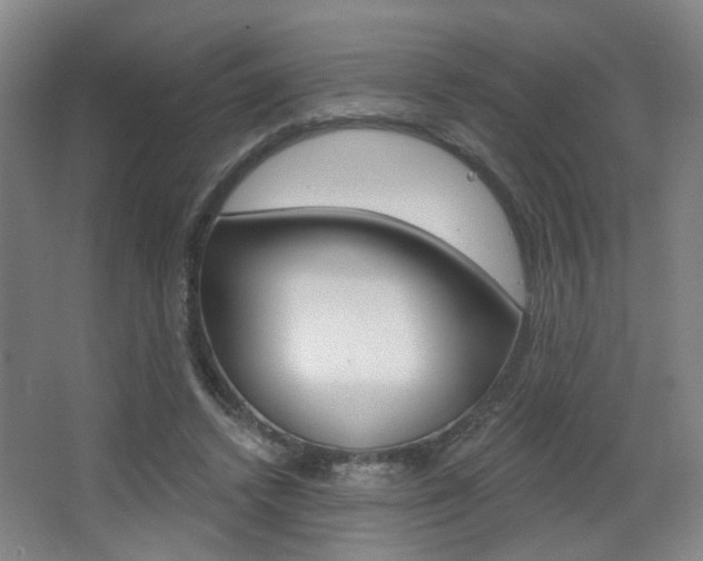 X0000067370448200603310959