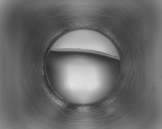 X0000067370450200603310959