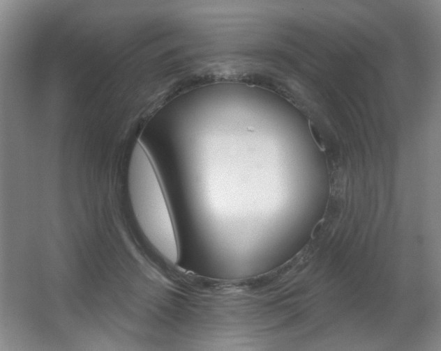 X0000067370456200603310959