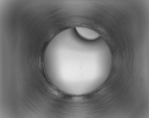 X0000067370457200603310959