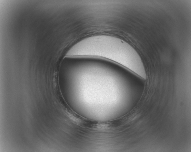 X0000067370462200603310959
