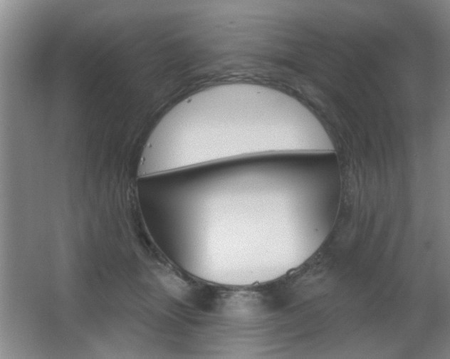 X0000067370463200603310959