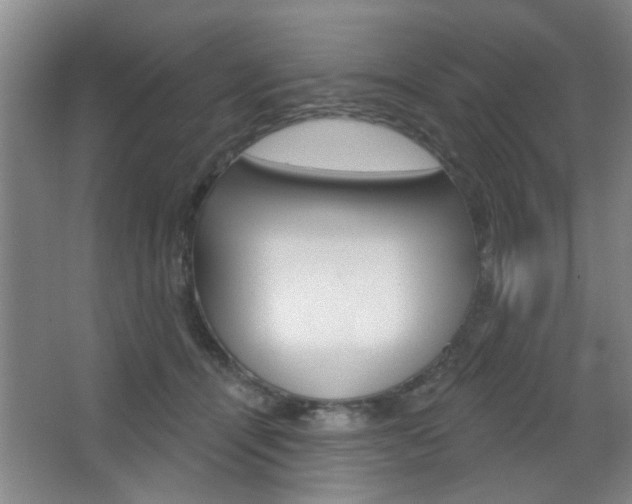 X0000067370464200603310959