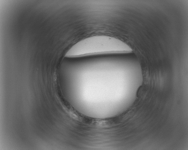 X0000067370472200603310959