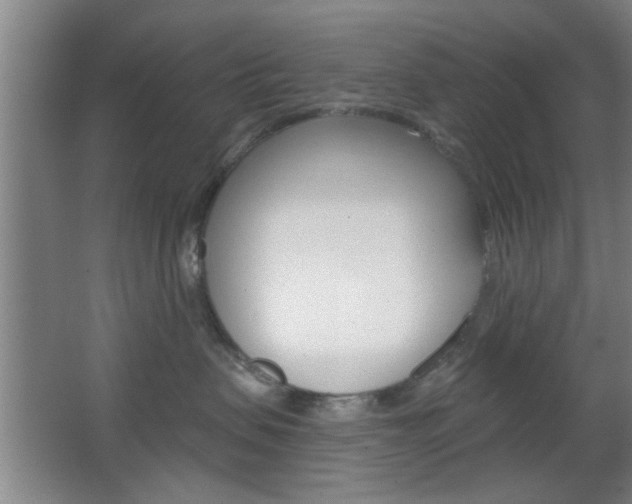 X0000067370479200603310959