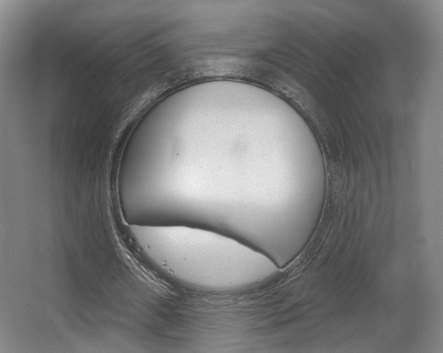 X0000067370482200603310958