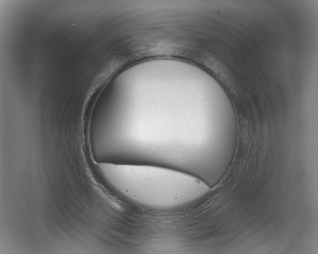 X0000067370486200603310958