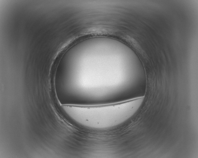 X0000067370488200603310958