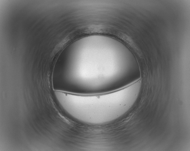 X0000067370489200603310958