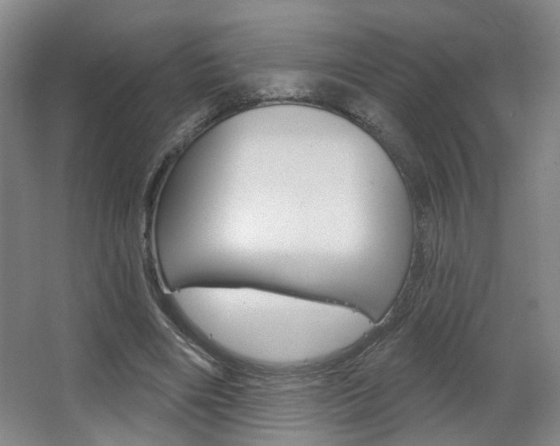 X0000067370490200603310958
