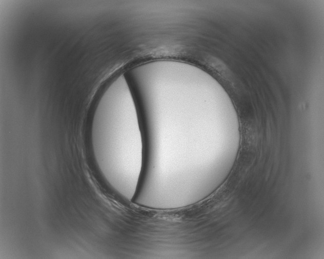 X0000067370491200603310958