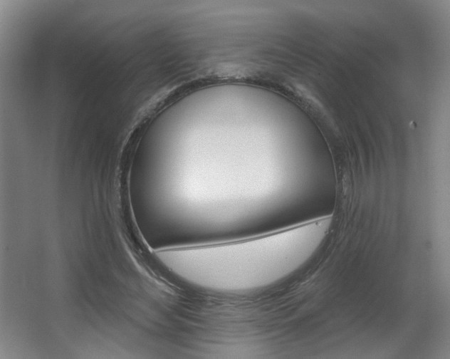 X0000067370492200603310958