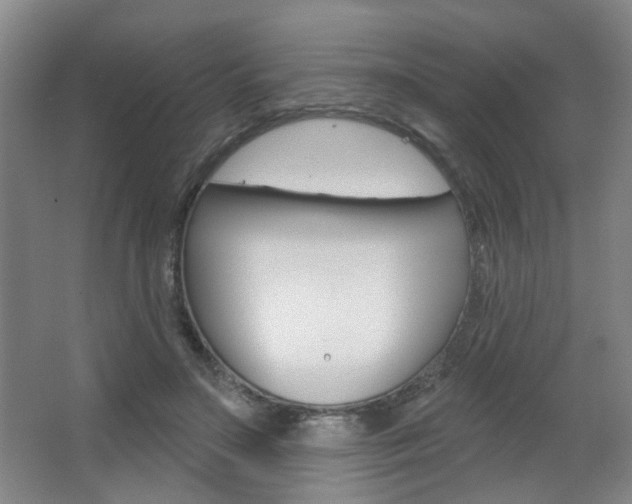X0000067370499200603310958