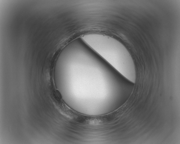 X0000067370500200603310958