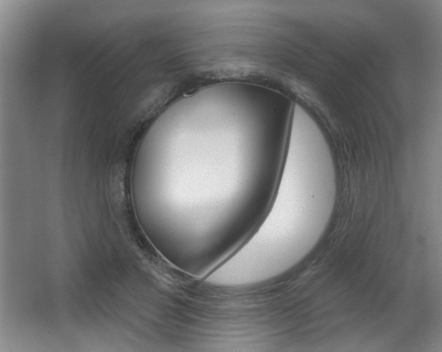 X0000067370501200603310958