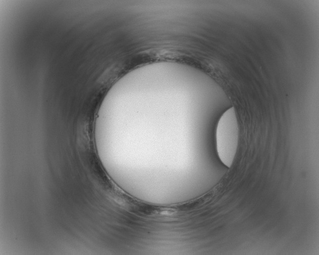 X0000067370506200603310958