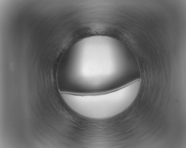 X0000067370508200603310958