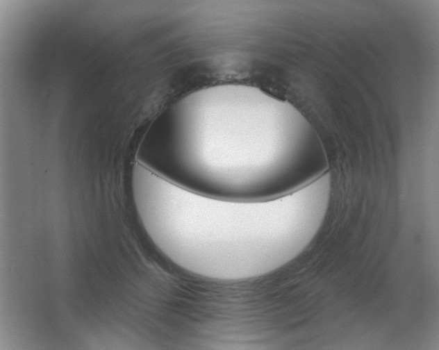 X0000067370512200603310958