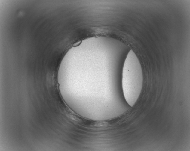 X0000067370514200603310958