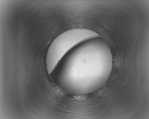 X0000067370520200603310958