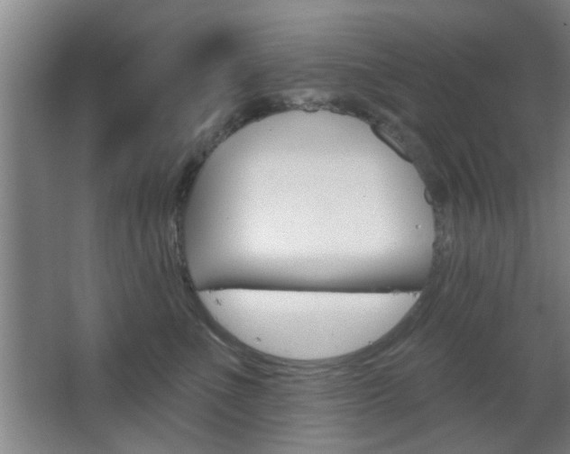 X0000067370523200603310958