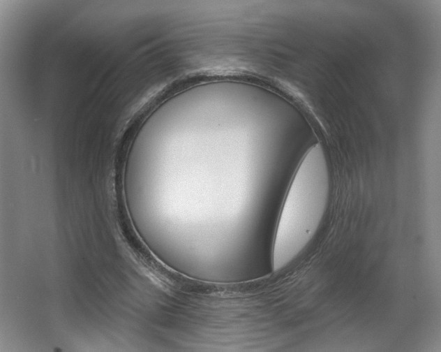 X0000067370535200603310957