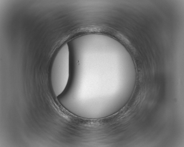 X0000067370537200603310957