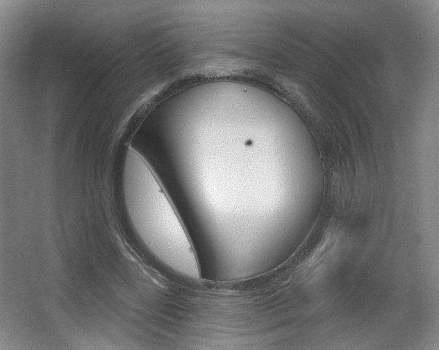 X0000067370539200603310957