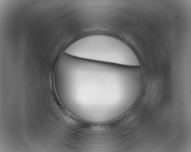 X0000067370545200603310957