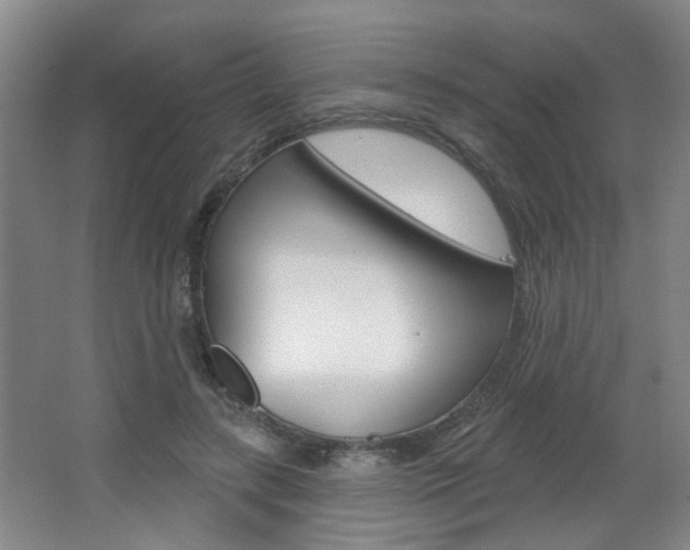X0000067370547200603310957