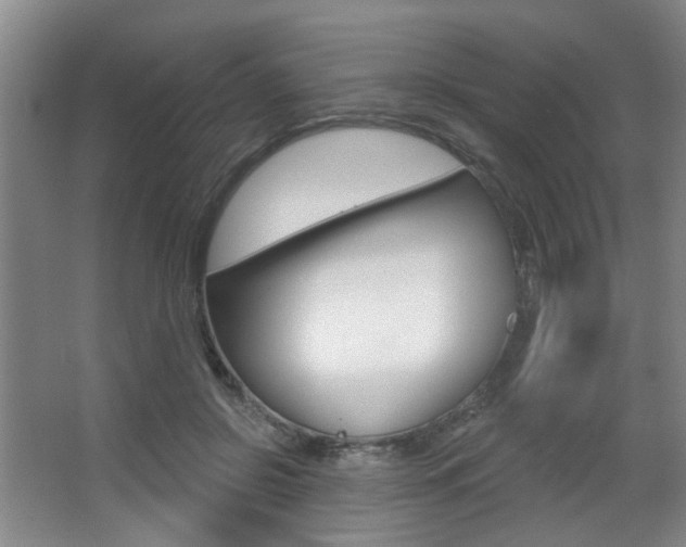 X0000067370550200603310957
