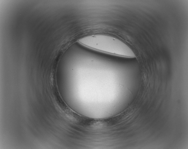 X0000067370551200603310957