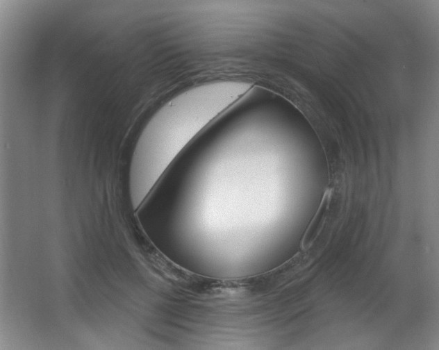 X0000067370552200603310957