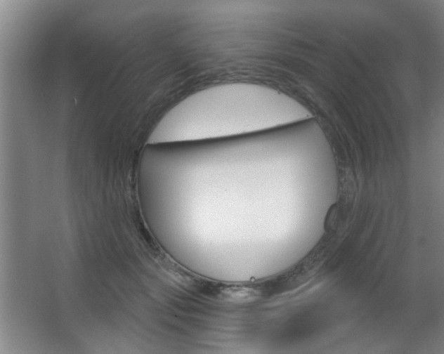 X0000067370557200603310957