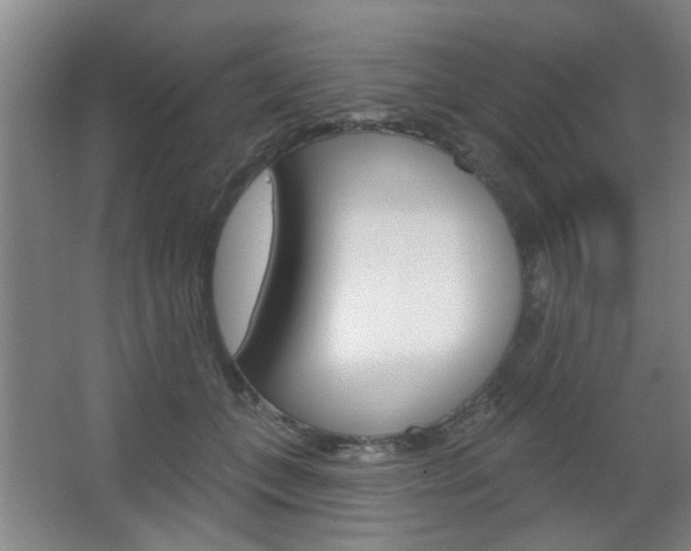 X0000067370559200603310957