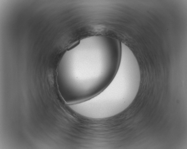 X0000067370562200603310957