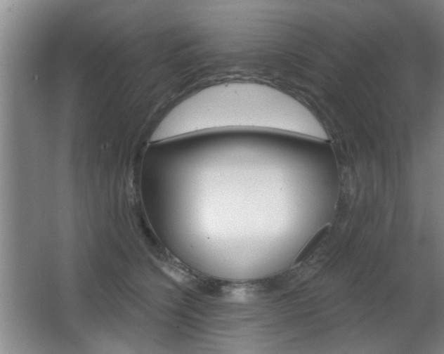 X0000067370564200603310957