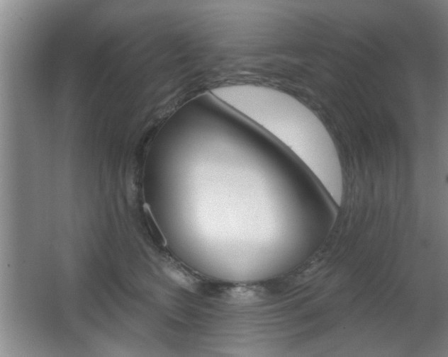 X0000067370566200603310957