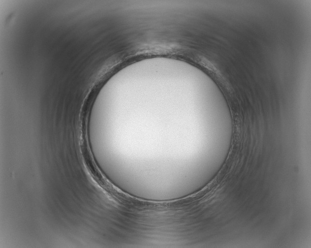 X0000067370582200603310957