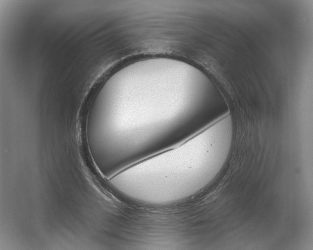 X0000067370584200603310957