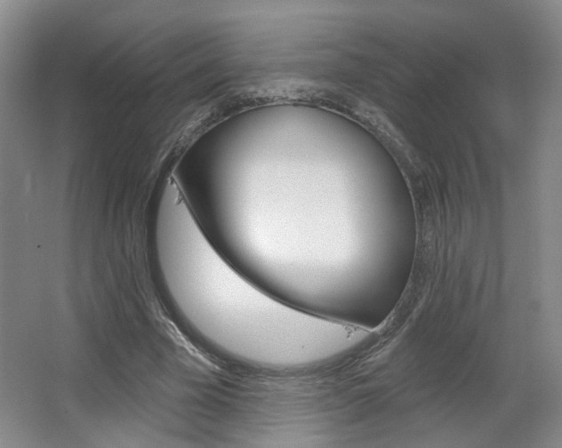 X0000067370585200603310957